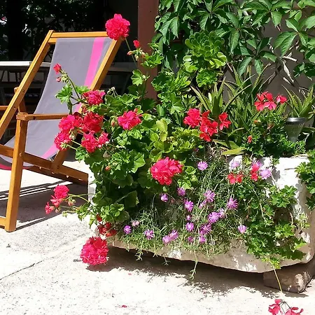 Mirjana Appartement *