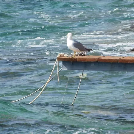 Appartement Mirjana Rukavac (Vis)