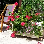 Mirjana Apartment *